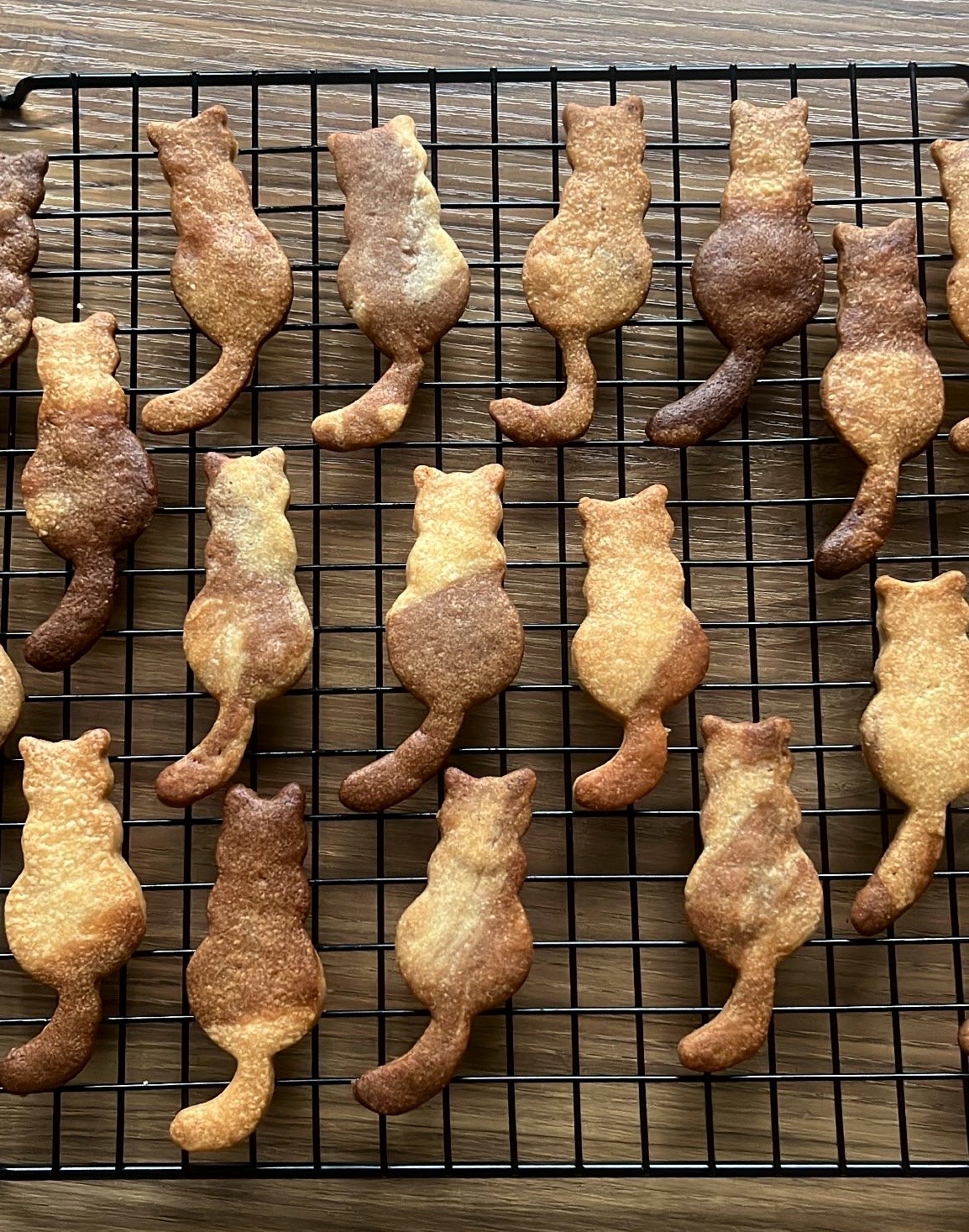 Cookie made in cat shape